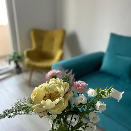 Andra Appartement Split